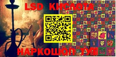 ПСИЛОЦИБИНОВЫЕ ГРИБЫ Коммунар