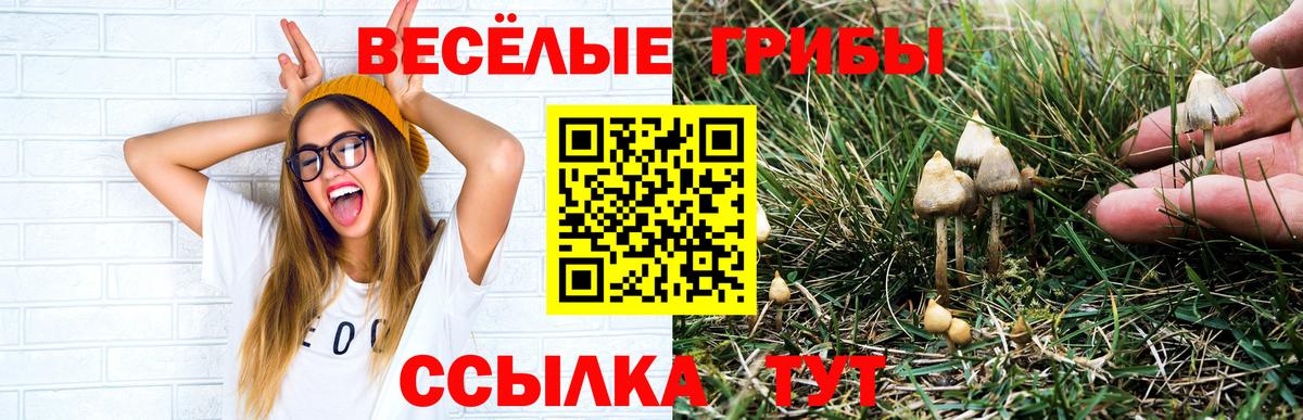 Галлюциногенные грибы ЛСД Кириши