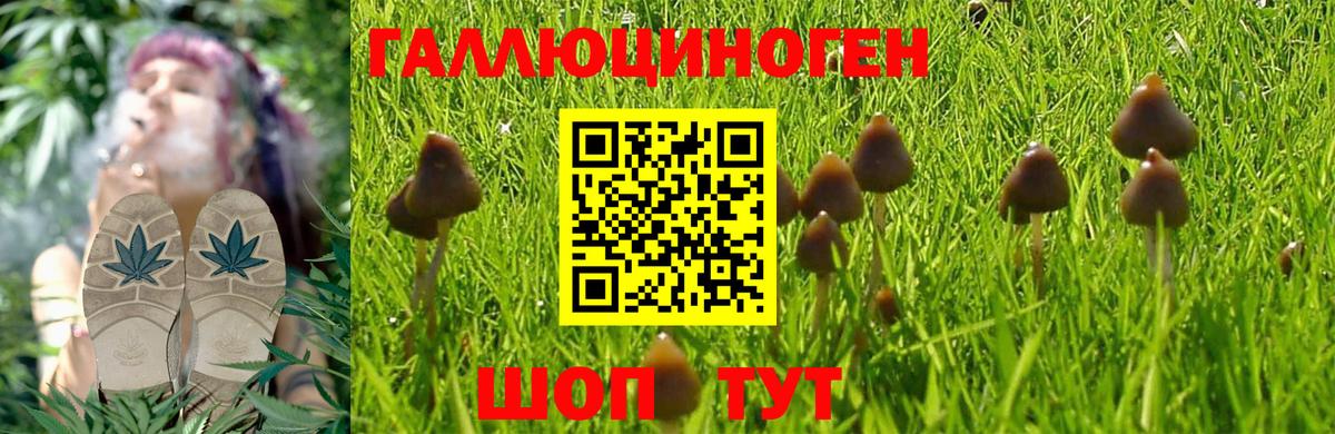 Кириши  Галлюциногенные грибы Psilocybe  Вход с VPN 